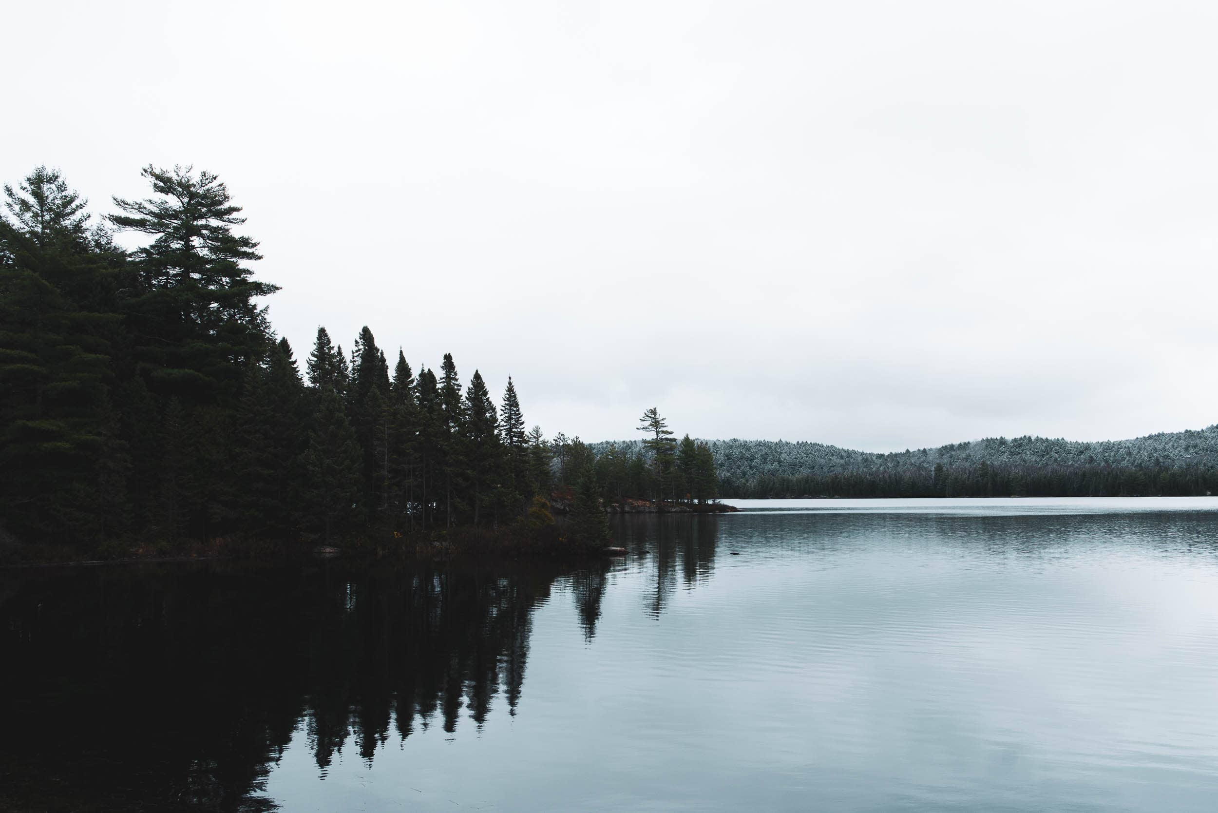 Winter Arrives in&nbspAlgonquin