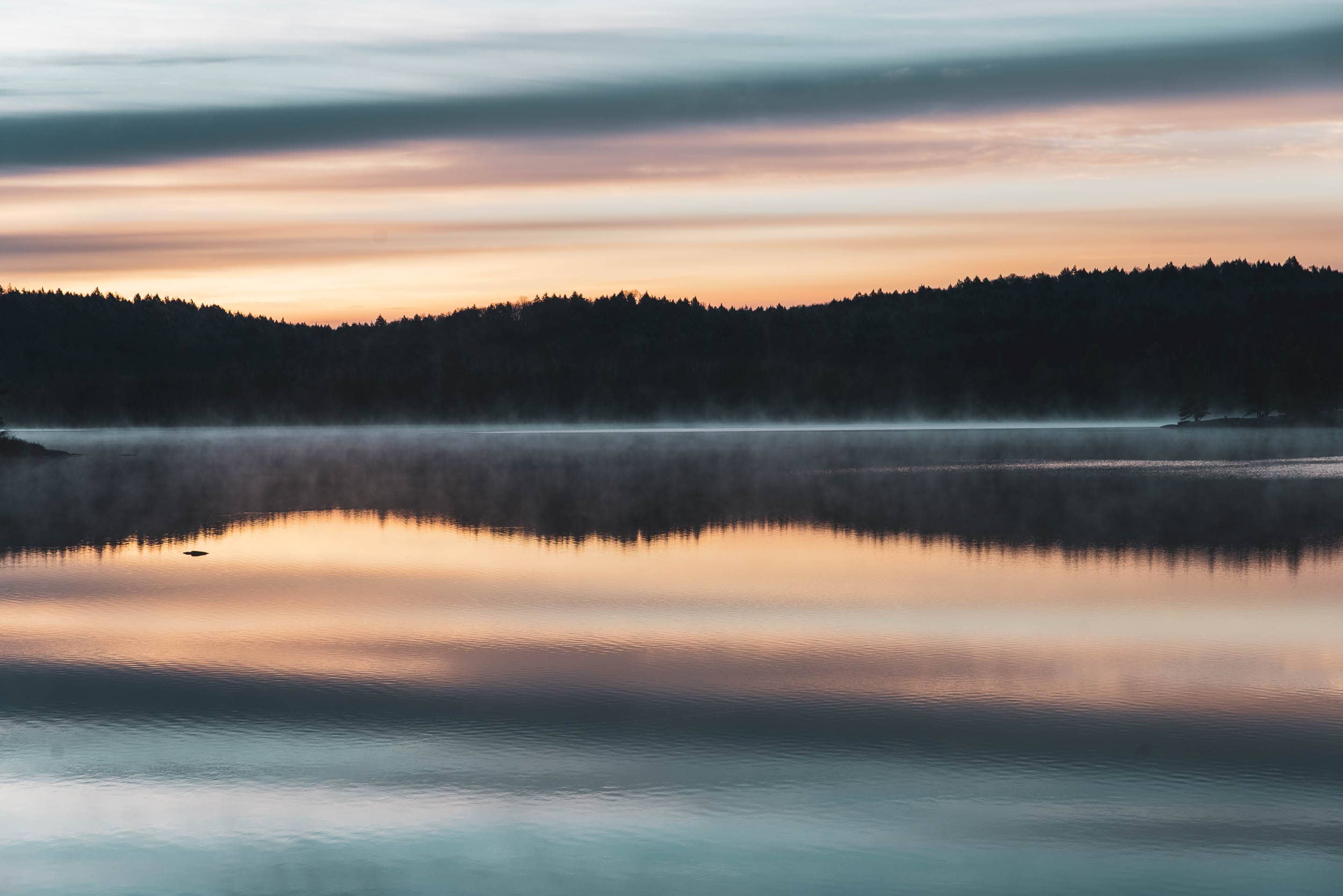 Winter Arrives in&nbspAlgonquin