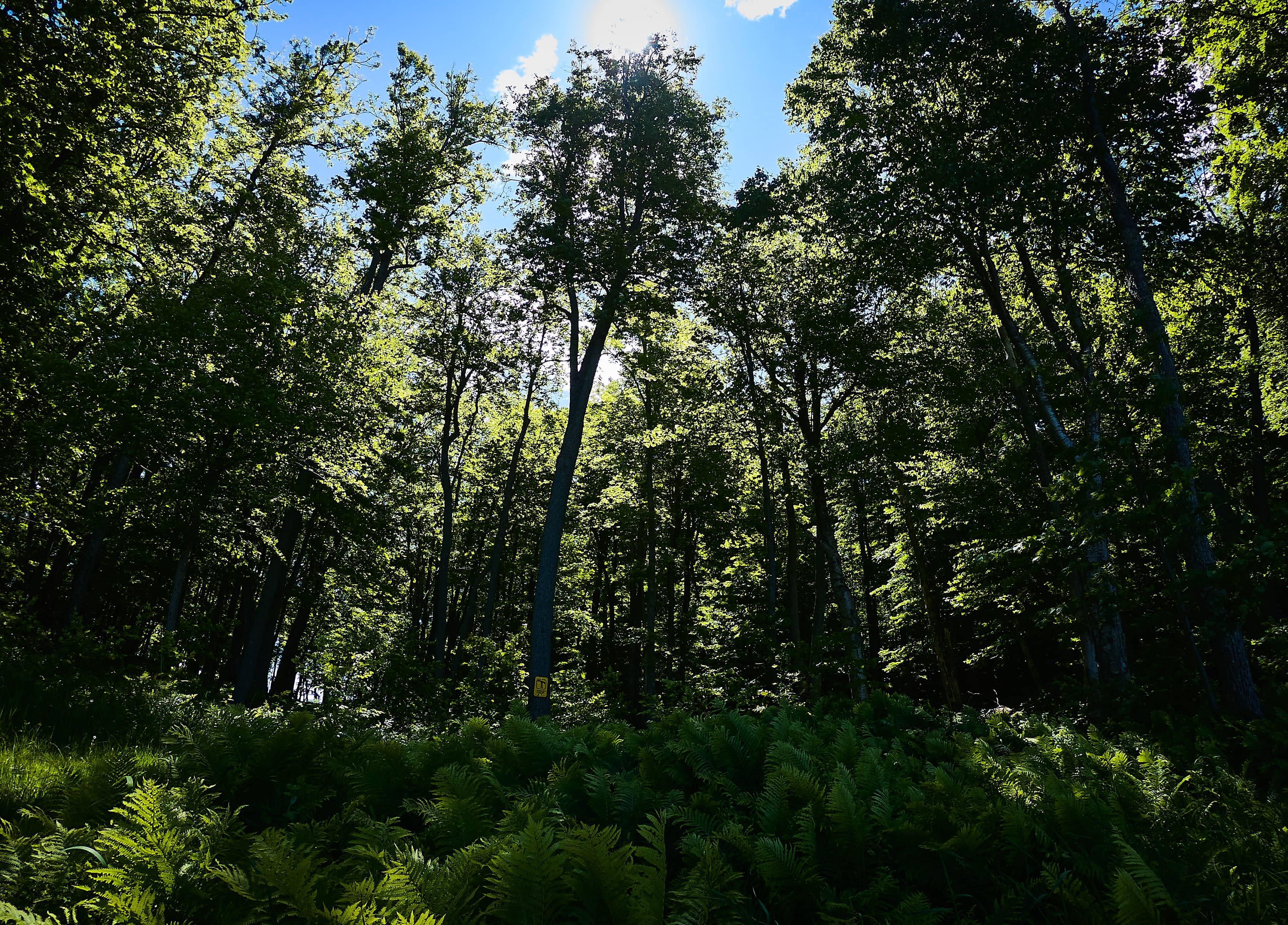 Frontenac: McNally&nbspBay